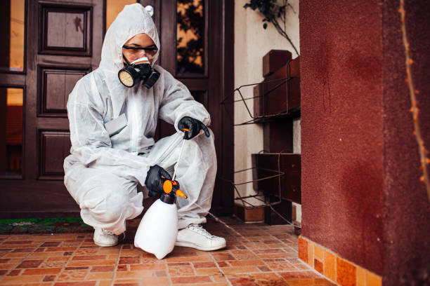 Reliable Cockroach Control contractor in Martinsville, IN by Nex Pest Control
