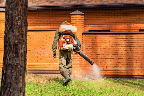 Trusted Emergency Pest Control service in Martinsville, IN - Nex Pest Control